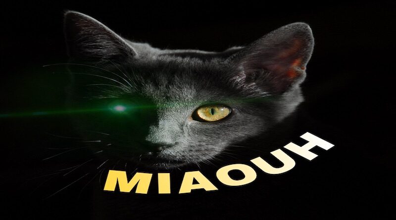 Miaouh By Saïk, Shatta 2022