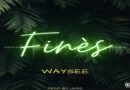 Finès - Waysse, Bouyon 2022